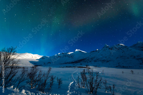 Photography The polar lights in Norway. Tromso