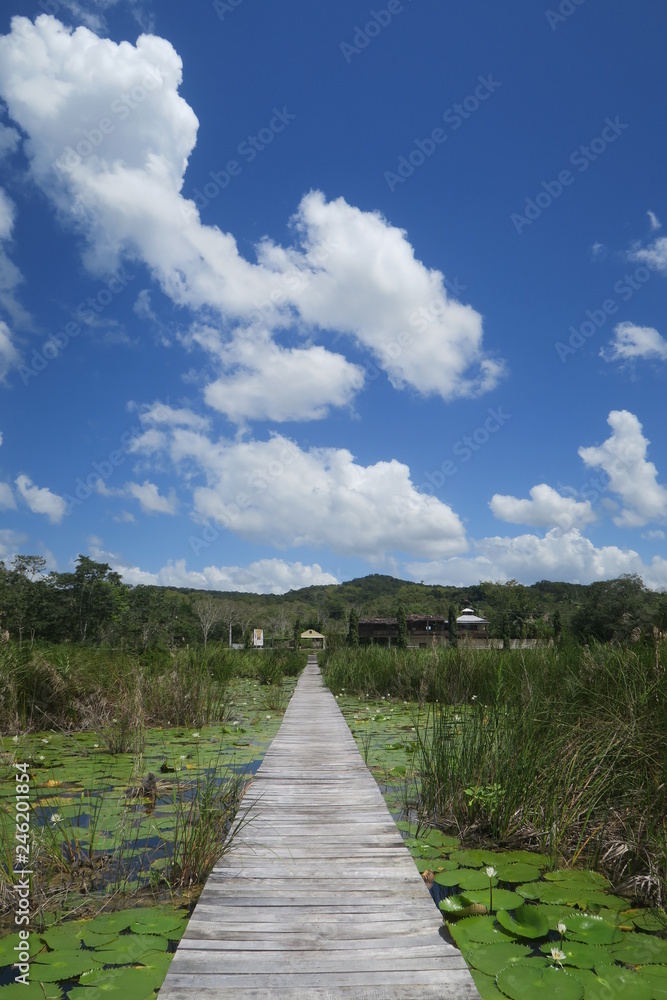 Fototapeta premium road to heaven bridge path over water