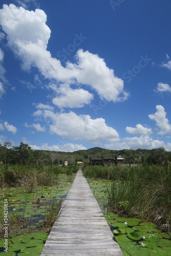 road to heaven bridge path over water