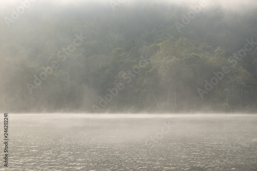 The mist in the lake in the morning.