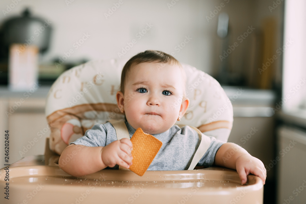 little girl in a high chair eating cookies little girl in a high chair eating cookies