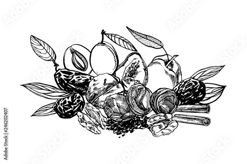 Dried peaches and Prunes, plums vector hand drawn illustration. Ink sketch of nuts. Hand drawn vector illustration. Isolated on white background.