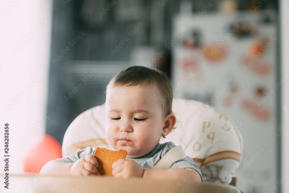 little girl in a high chair eating cookies little girl in a high chair eating cookies