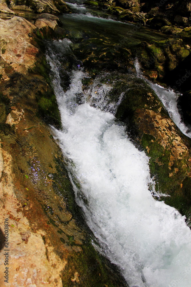 Naklejka premium waterfall in the forest. mountain fast river. rapids