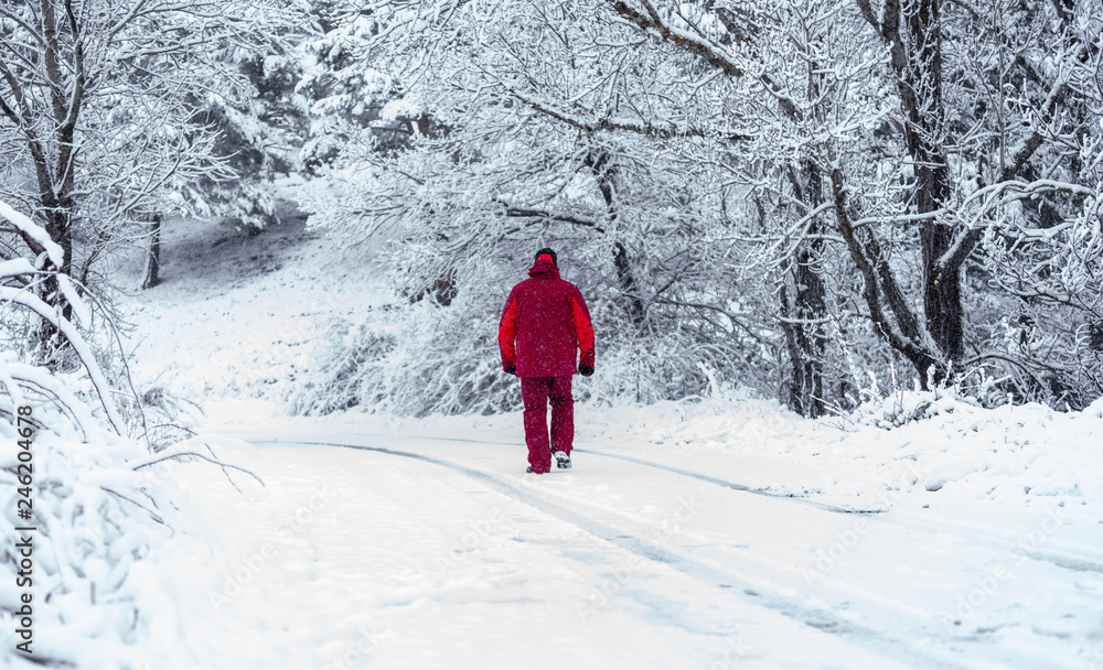 Man walking through the snowy forest