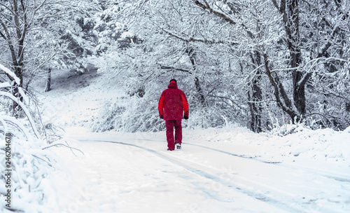 Man walking through the snowy forest