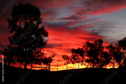 Trees silhouetted against a bright red and orange sunset in the southern Karoo, South Africa.