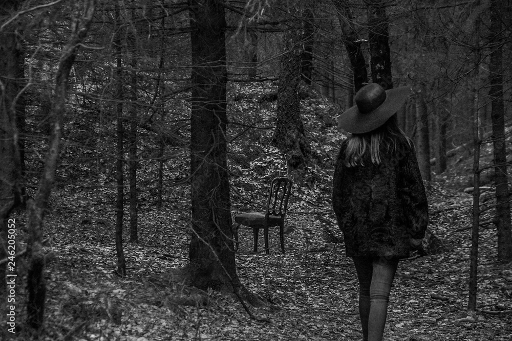 Naklejka premium Lost in Forest