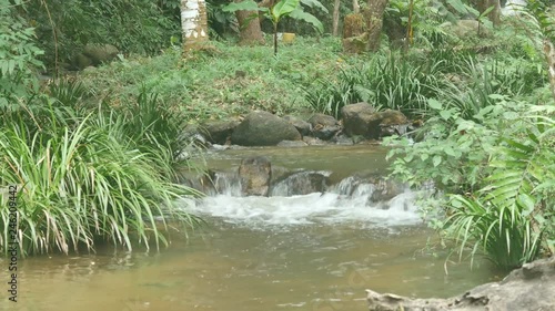 small cascade of stream in tropical rain forest photo