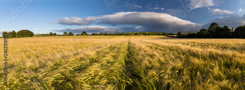 Autumn scene in Kilcrea, south Ireland, Co. Cork