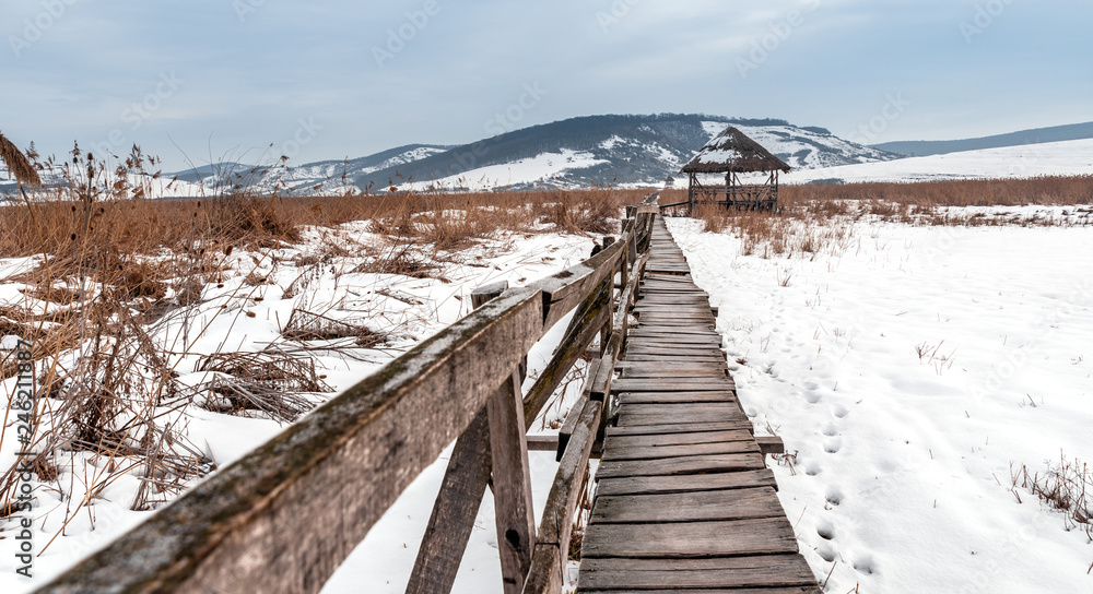 Wooden pathway through the reed winter time 