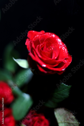 Fototapeta Naklejka Na Ścianę i Meble -  Bouquet of red roses on a black background