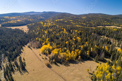 Fall Colors by Drone
