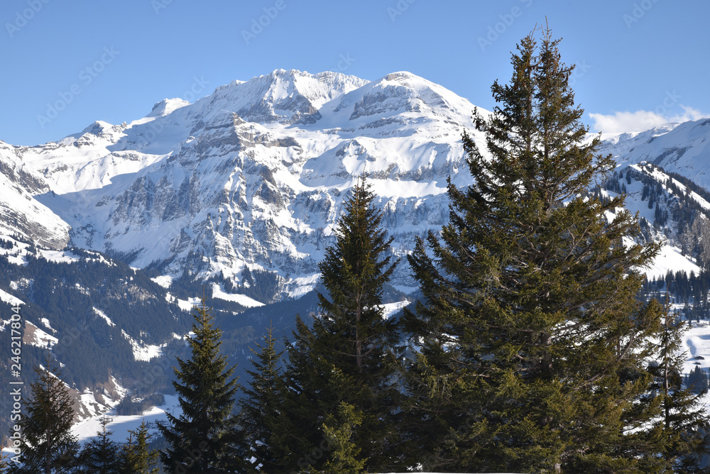 Pics glacés de l'Oberland bernois, Suisse