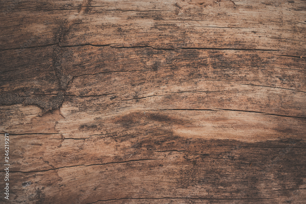 wood texture background wood texture background