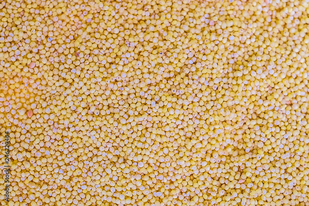 Millet background Millet background