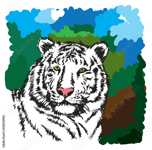 Fototapeta Naklejka Na Ścianę i Meble -  tiger vector illustration 2