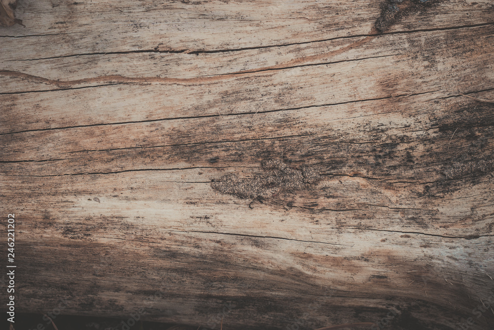 Fototapeta premium wood texture background