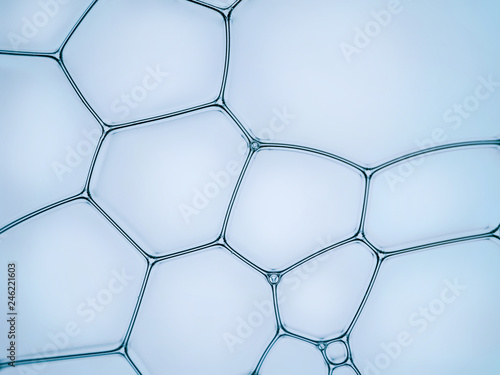 Macro close up of soap bubbles look like scienctific image of cell and cell membrane