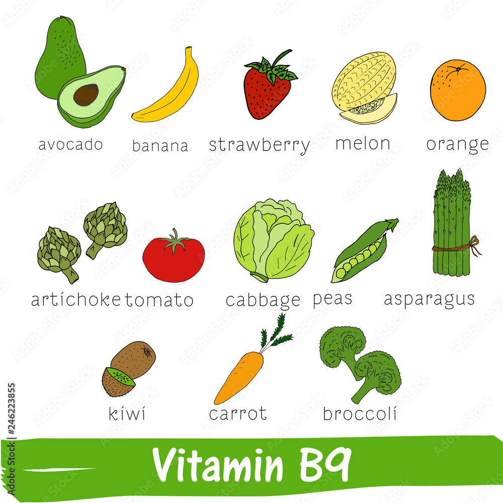 Vegetables and fruits with a high content of vitamin B9. Hand drawn