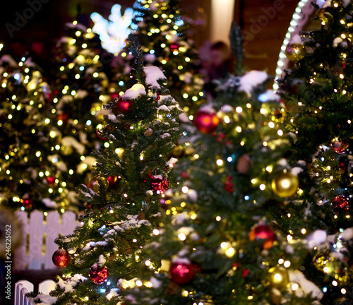 christmas tree with red lights