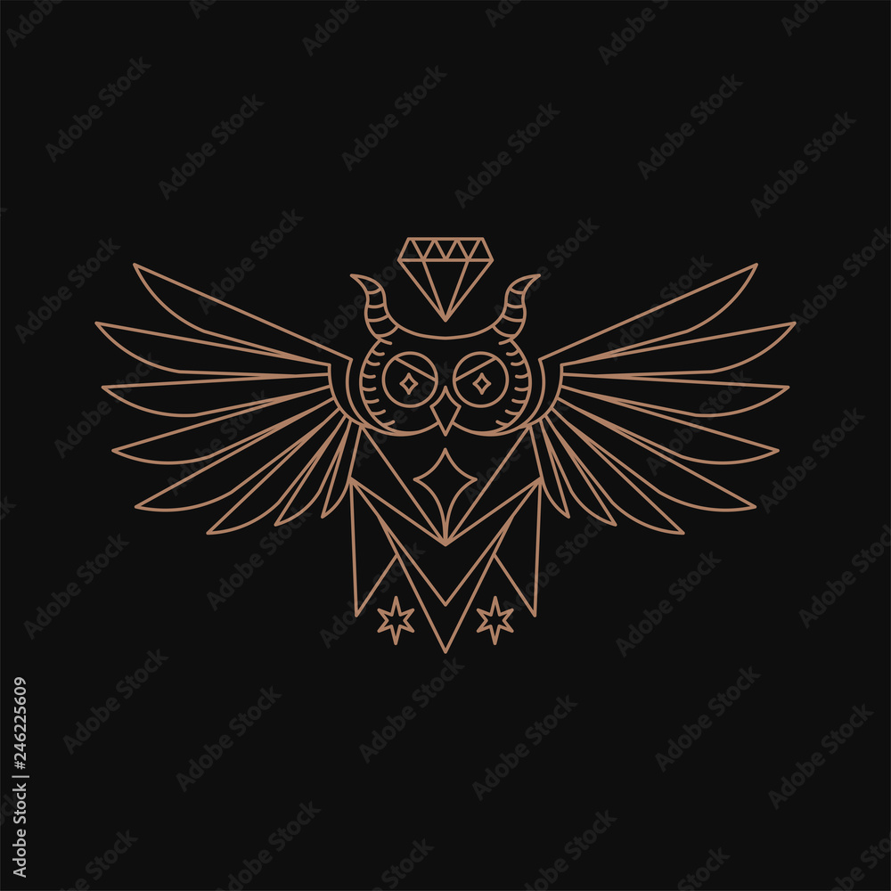 Owl geometry with diamond logo design Owl geometry with diamond logo design