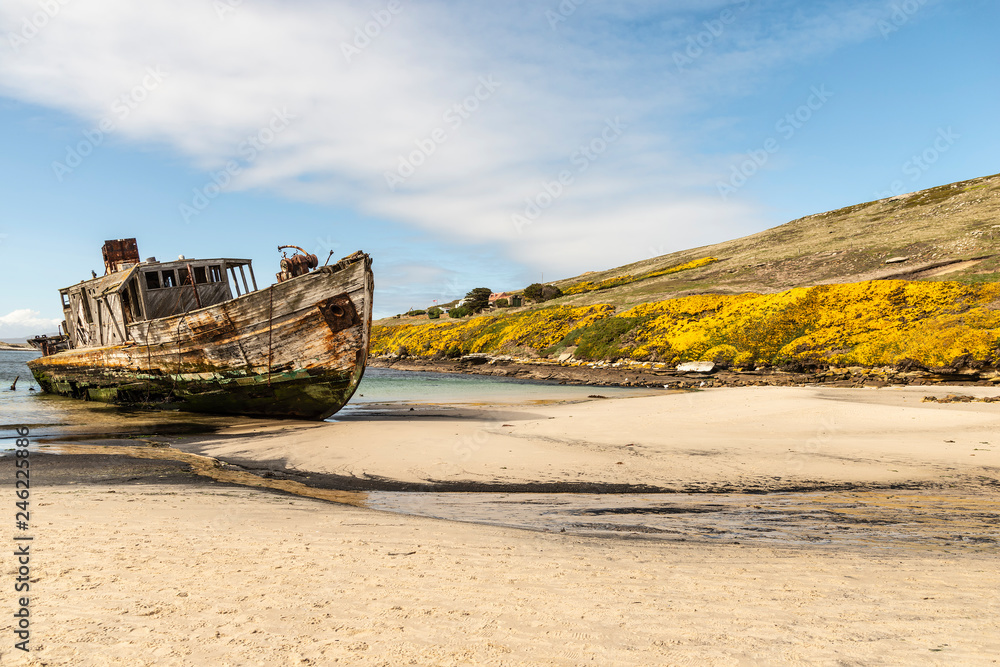 Naklejka premium New Island Falklands Shipwreck