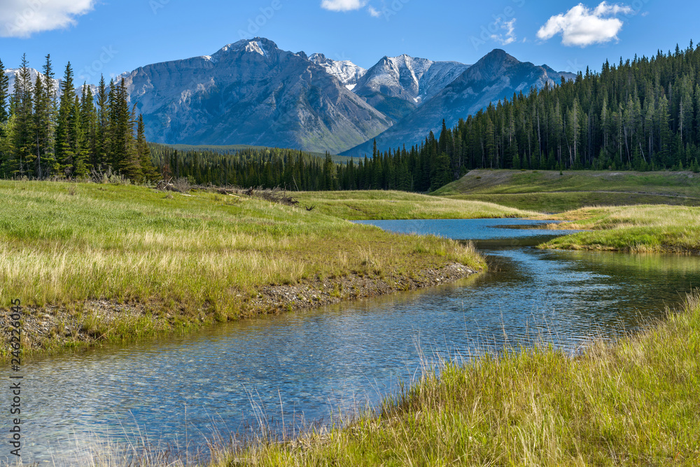 Mountain Creek - A Spring morning view of a clear creek winding through green meadow and dense forest at base of Mt. Astley, Banff National Park, Alberta, Canada.