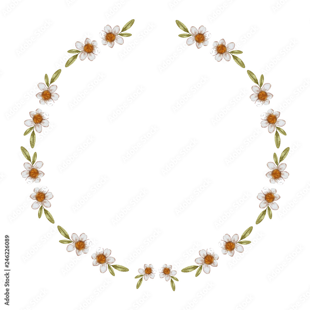 Watercolor wreath with chamomile and herbs on a white background. Handwork. Spring summer decor frame. Vector illustration Design element for invitations, greeting cards, cosmetics, baby card.