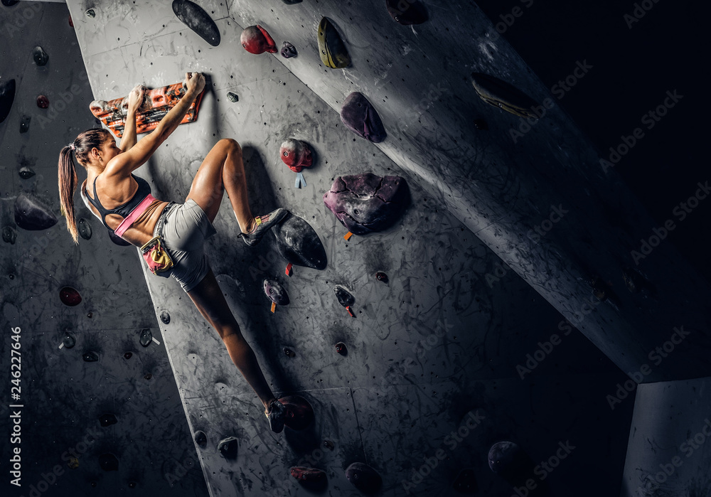 A young woman wearing sportswear practicing rock-climbing on a wall indoors - obrazy, fototapety, plakaty 
