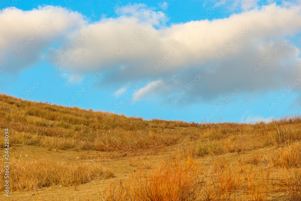 yellow dry grassland yard at wakakusa mountain with blue sky from NARA national park Japan. yellow dry grassland yard at wakakusa mountain with blue sky from NARA national park Japan.