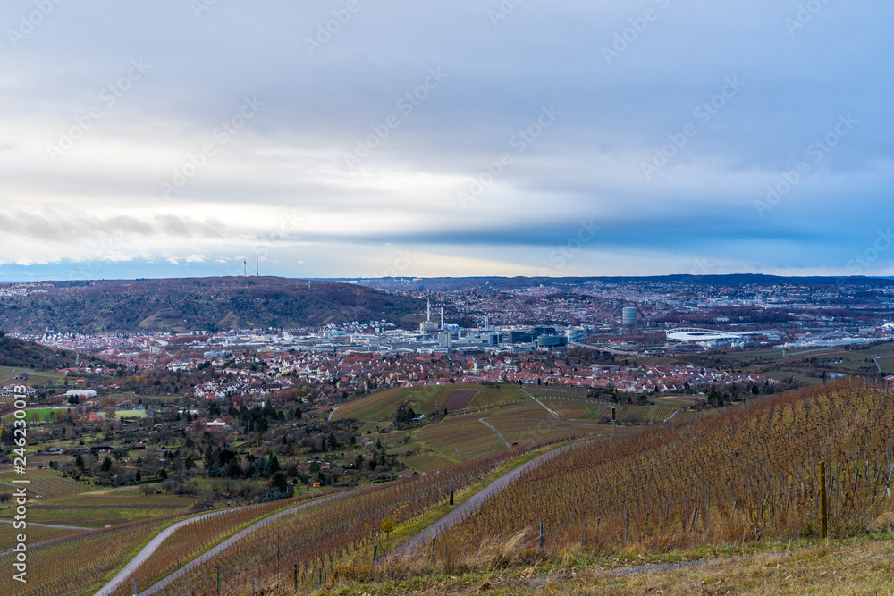 Germany, City of stuttgart behind vineyards from above