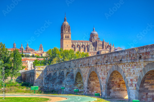 Roman bridge leading to the Salamanca cathedral, Spain