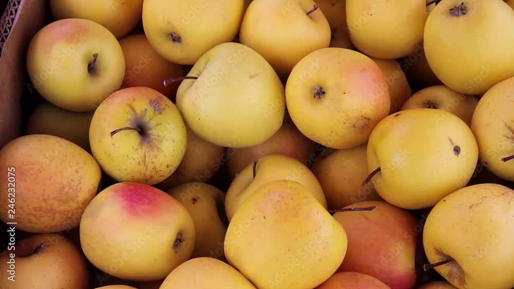 yellow apples on the market yellow apples on the market