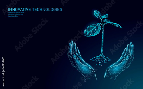 Hands holding plant sprout ecological abstract concept. 3D render seedling tree leaves. Save planet nature environment grow life eco polygon triangles low poly vector illustration