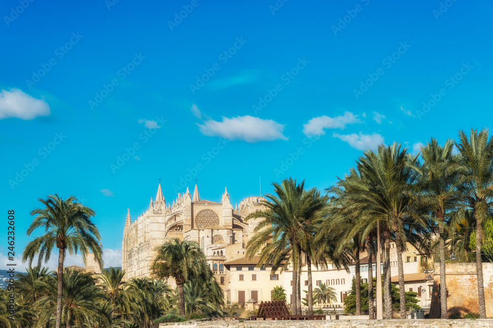Cathedral de Santa Maria in Palma de Mallorca, Balearic islands, Spain