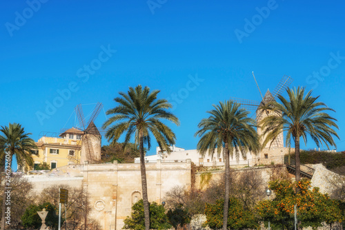 Palms and ancient windmills in Palma de Mallorca, Balearic islands, Spain © serg_did