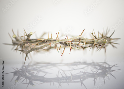 Fotografiet crown of thorns easter background
