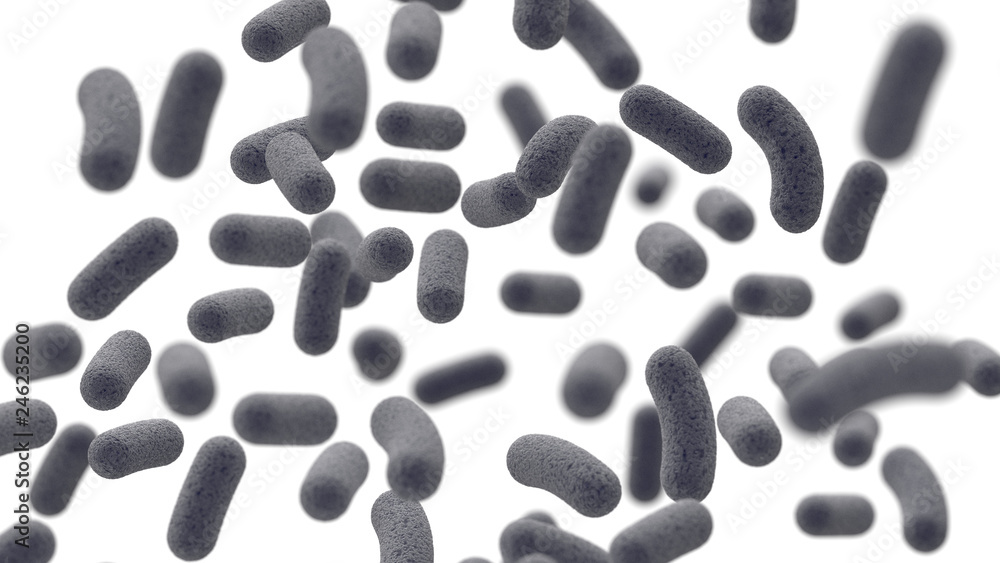 Batteri al microscopio su sfondo bianco. Batteri al microscopio su sfondo bianco.