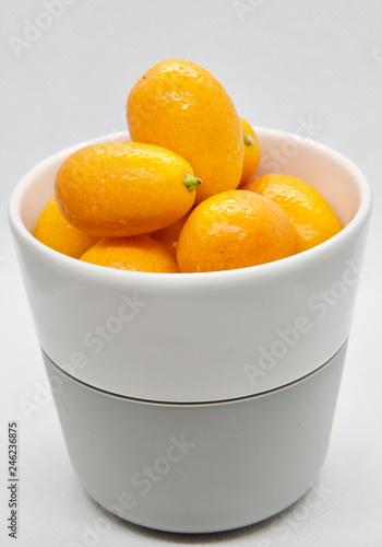 Citrus japonica, Kumquat, Cumquat 