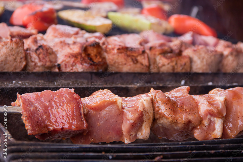 raw shish kebab grilled on fire skewers of meat and vegetables