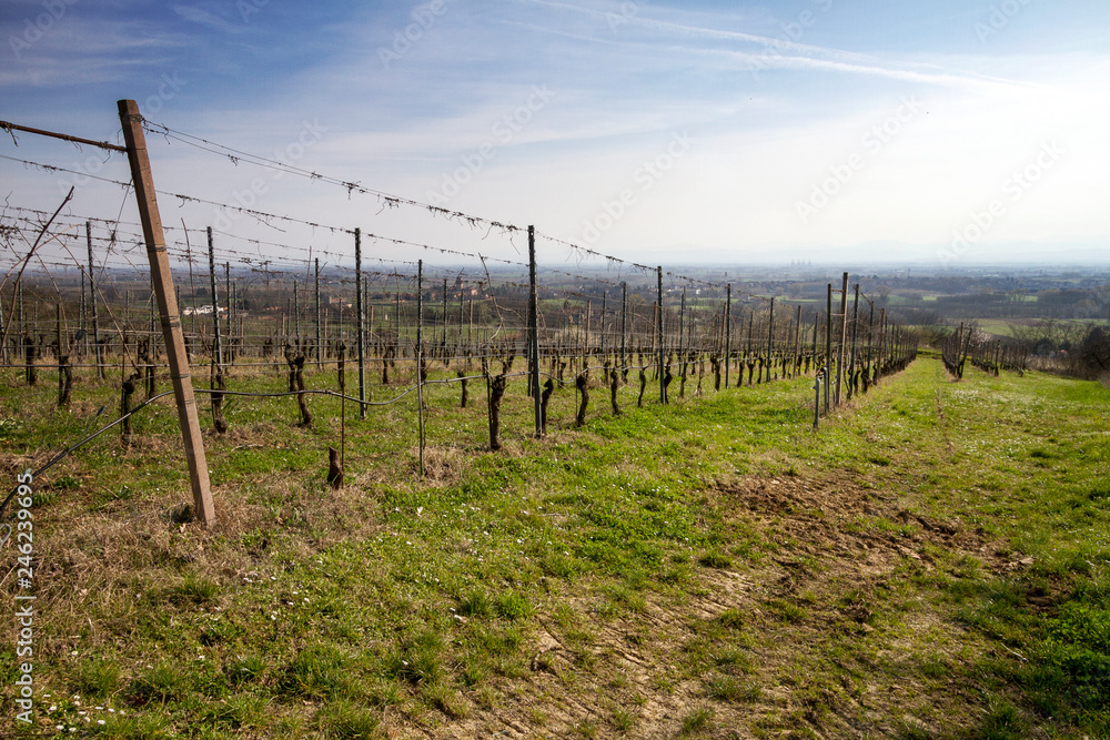 Obraz premium Monticelli Pavese (Pavia, Lombardia)
