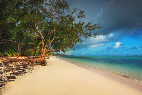 Lonely island in Caribbean sea. Palm trees and tropical beach, Dominican Republic, Punta Cana.