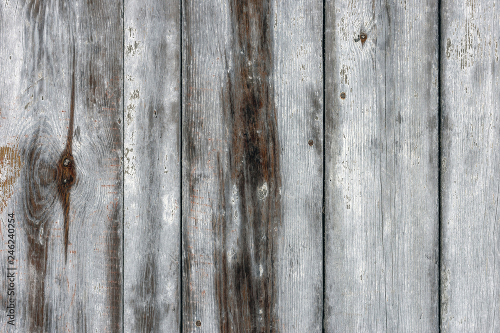 The white wood texture with natural patterns background The white wood texture with natural patterns background