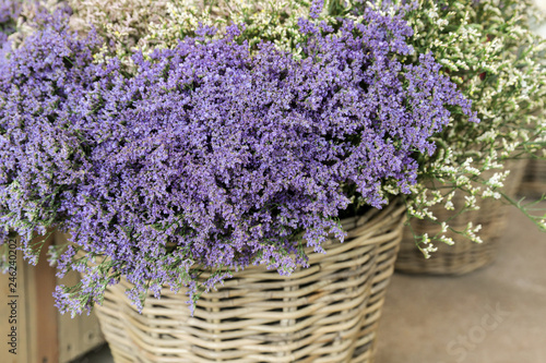 In a wicker basket limonium gmelinii, statice or sea lavender flowers in lavender-blue color in the garden shop.