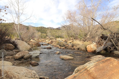 Water flowing through Sabino Canyon in Arizona.