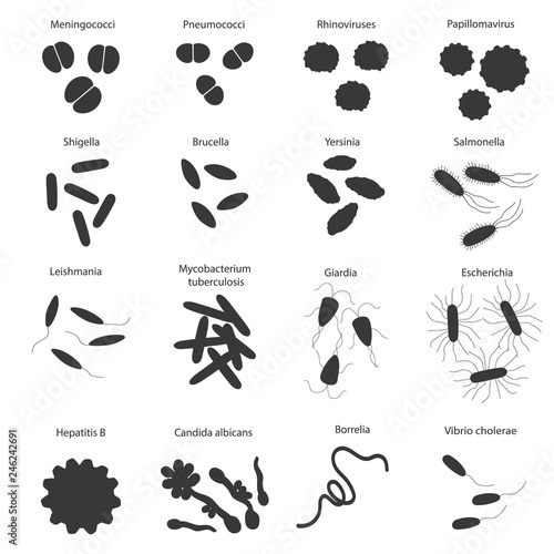 Big black set with different dangerous viruses and germs with its names. Vector illustration for education on microbiology