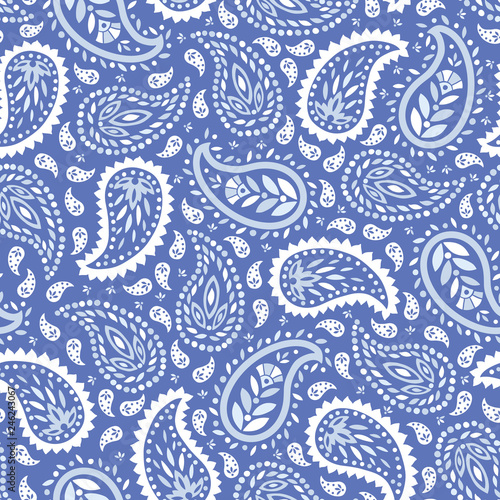 Traditional Blue Paisley vector seamless pattern. Whimsical classic background.Monochrome Shawl print