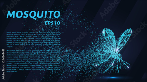 Mosquito. A grid of blue stars in the night sky. Glowing dots create a mosquito. Mosquito, malaria, bite and other concepts illustration or background.