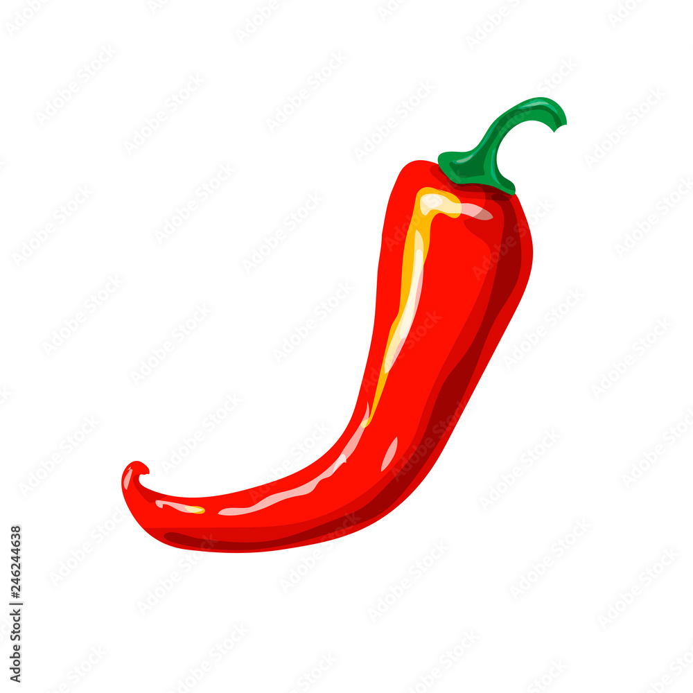 Red hot chili pepper, single, isolated on white background. Vector hand drawn illustration Red hot chili pepper, single, isolated on white background. Vector hand drawn illustration